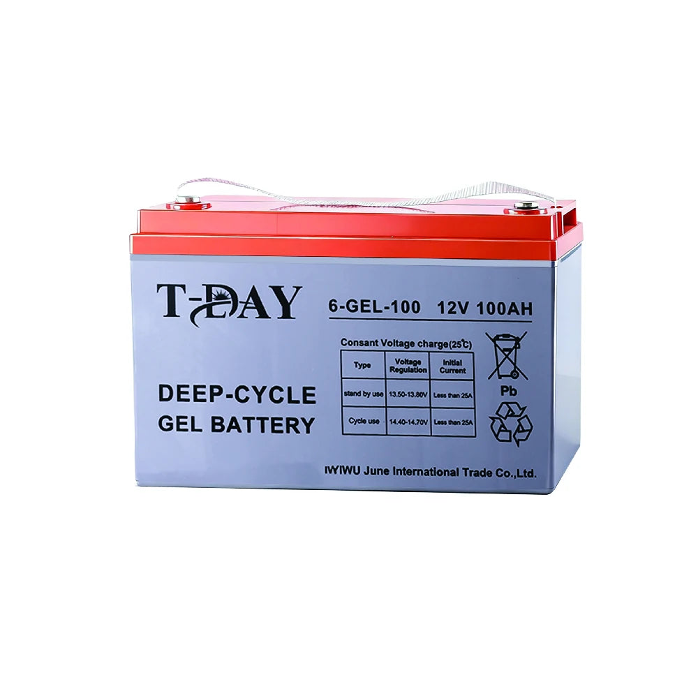 T-DAY Batería Solar Gel 12V 100Ah | MundoMax SV